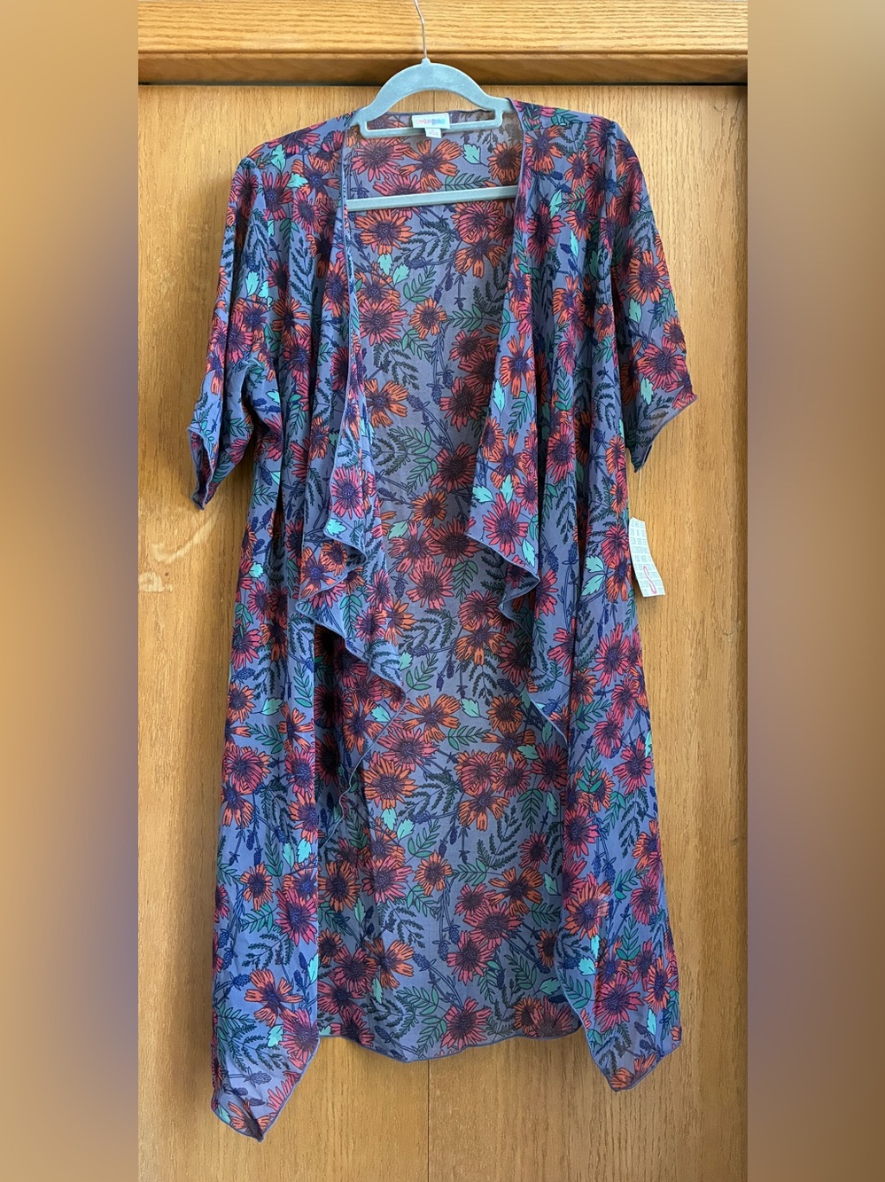 Sheer Kimono